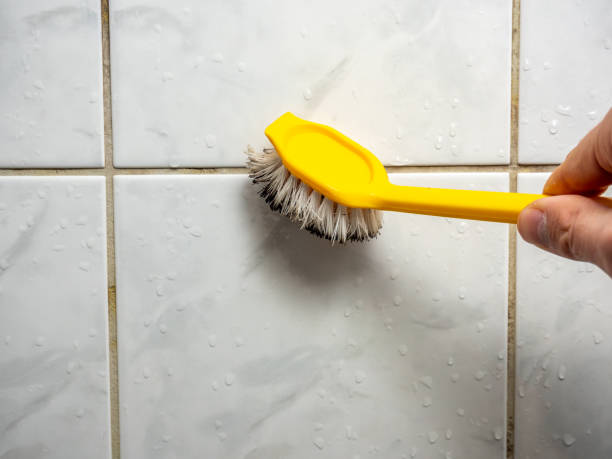 Trusted Ball Pond, CT Mold Removal Experts