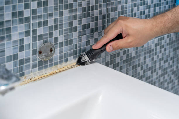 Best Home Mold Removal  in Ball Pond, CT